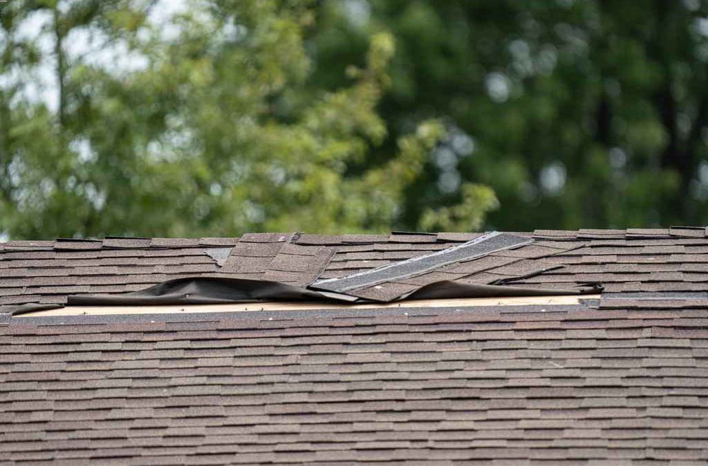 What to Do if a Storm Damages Your Roof in Westfield?