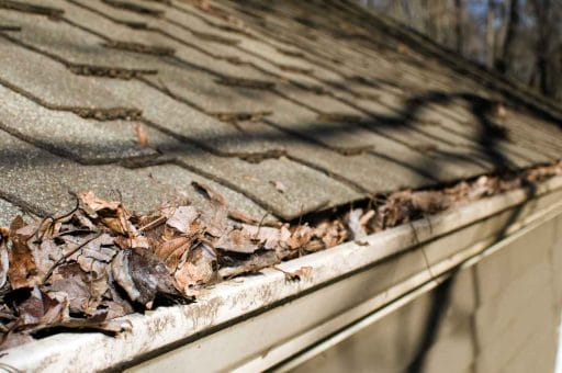 common causes of roof leaks, clogged roof, Westfield